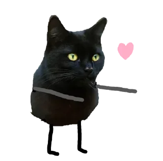 😗 emoji Black Cat @stickersb2b Telegram sticker 21 of 22