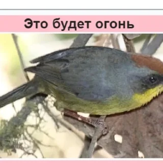 🔥 emoji Стикеры Планеты Гугл Telegram sticker 4 of 70
