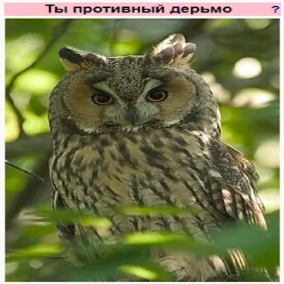 😡 emoji Стикеры Планеты Гугл Telegram sticker 17 of 70