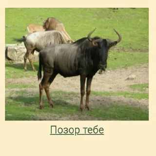 😠 emoji Стикеры Планеты Гугл Telegram sticker 14 of 70