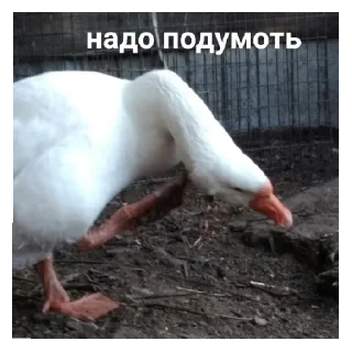 🤔 emoji Мартин-дурартин Telegram sticker 22 of 23