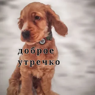 😁 emoji Мартин Telegram sticker 6 of 15