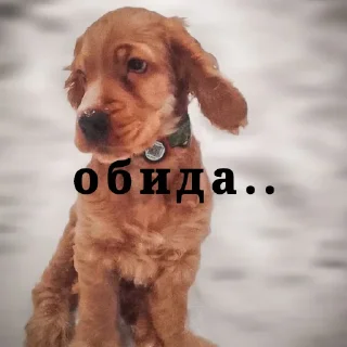 😤 emoji Мартин Telegram sticker 10 of 15
