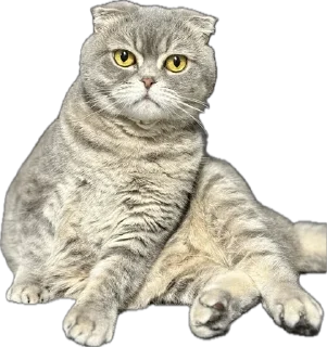 😀 emoji Мартин топ Telegram sticker 19 of 22