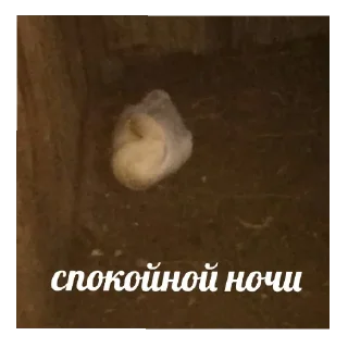 💤 emoji Мартин-дурартин Telegram sticker 18 of 23