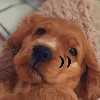 😏 emoji Мартин Telegram sticker 11 of 15