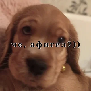 😡 emoji Мартин Telegram sticker 14 of 15