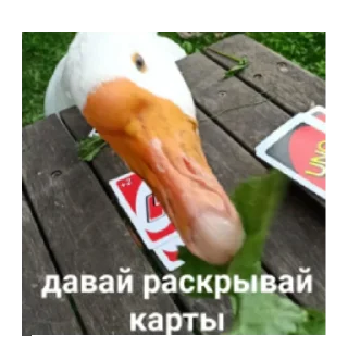 🃏 emoji Мартин-дурартин Telegram sticker 11 of 23