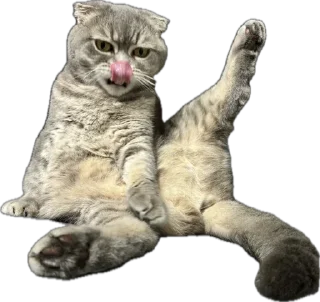 😀 emoji Мартин топ Telegram sticker 20 of 22