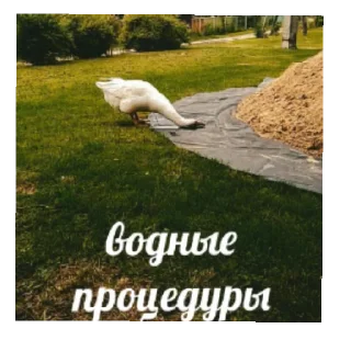 🛁 emoji Мартин-дурартин Telegram sticker 19 of 23