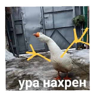 👍 emoji Мартин-дурартин Telegram sticker 9 of 23