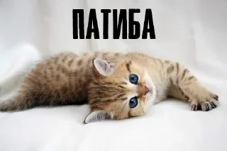 🙏 emoji Больше стикеров: @sticerru Telegram sticker 19 of 120