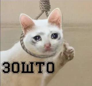 😭 emoji Больше стикеров: @sticerru Telegram sticker 6 of 120