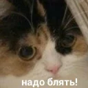 Sticker from Зачем?