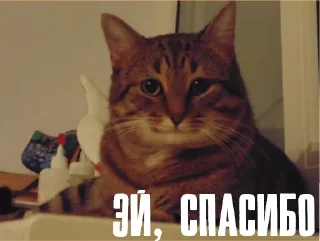 👍 emoji Больше стикеров: @sticerru Telegram sticker 18 of 120