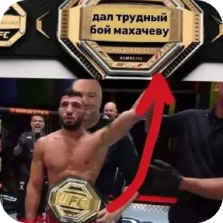 Sticker from UFC Memes — @stckrRobot