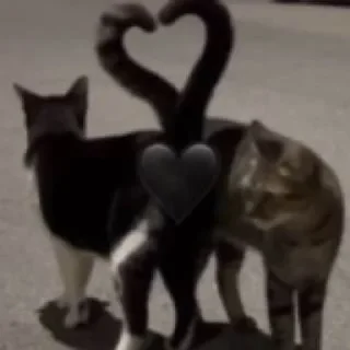 Sticker from Cats pack