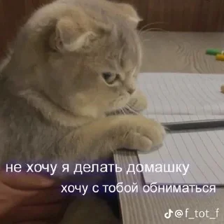 🌟 emoji Романтик Telegram sticker 15 of 104