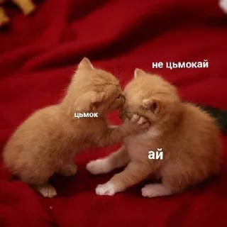 💋 emoji Романтик Telegram sticker 5 of 104