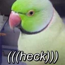 😕 emoji Random bird stuff Telegram sticker 5 of 120