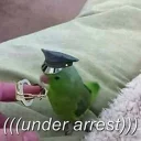 👮 emoji Random bird stuff Telegram sticker 17 of 120