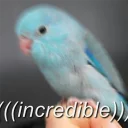 😱 emoji Random bird stuff Telegram sticker 6 of 120