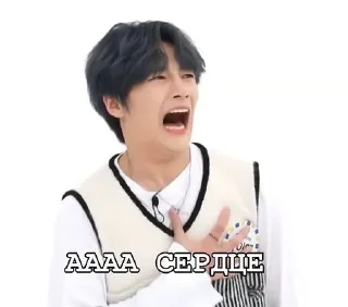 🌟 emoji stray.kids^^ Telegram sticker 18 of 41