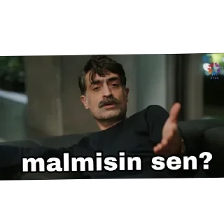 🧔 emoji Hocam Telegram sticker 7 of 56