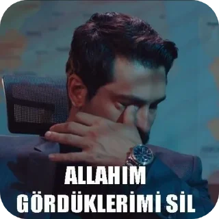 ✋ emoji Hocam Telegram sticker 17 of 56