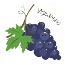 🍇 emoji Центр винного туризма «Абрау-Дюрсо» Telegram sticker 12 of 14
