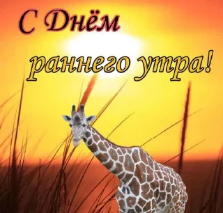 Sticker from С днём...