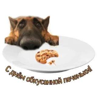 💥 emoji С днём... Telegram sticker 14 of 52