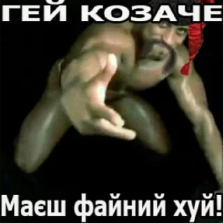 Sticker from файний хуй, козаче