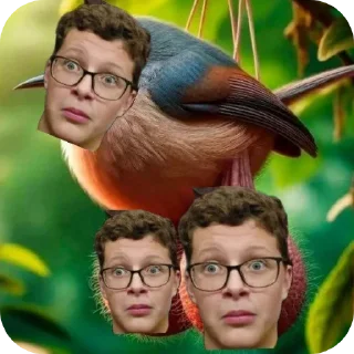 🐦 emoji vned govnoed Telegram sticker 16 of 96