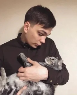 🐱 emoji кпсс бегемот Telegram sticker 12 of 76