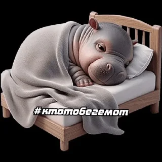 Sticker from Бегемот сквад