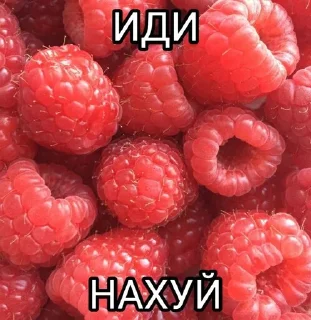 😡 emoji салат Telegram sticker 4 of 11
