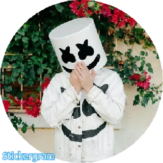 😊 emoji Marshmello DJ Telegram sticker 16 of 29
