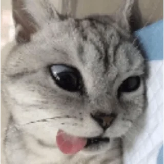 😋 emoji Набор говна @Sobaka2285 Telegram sticker 22 of 120