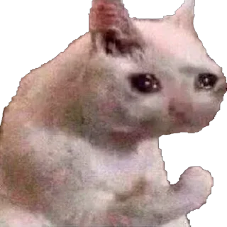 😔 emoji lulz Telegram sticker 14 of 86