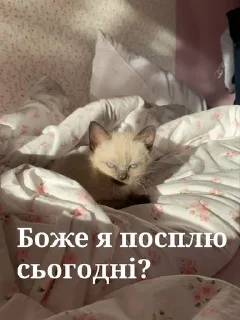 😒 emoji Магістерка крінжі 2.0 by @Muvila Telegram sticker 22 of 120