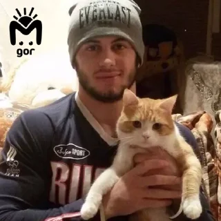 🐈 emoji татары сила леее Telegram sticker 16 of 26