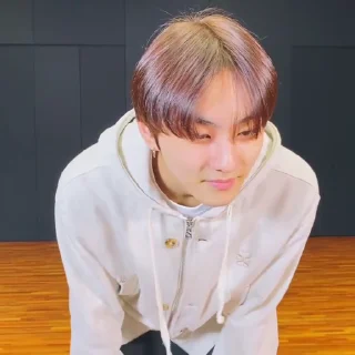 😼 emoji jungwon  @H2EYN Telegram sticker 13 of 40