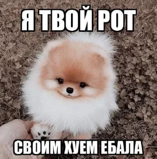🌟 emoji ★,тг - castl3ss Telegram sticker 10 of 111