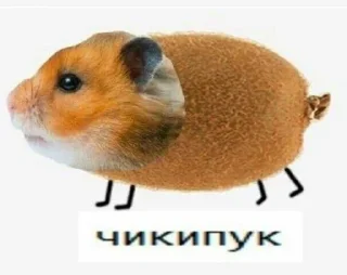🌟 emoji Я ФИЗМААТ Telegram sticker 24 of 108