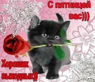 😜 emoji открытки Telegram sticker 14 of 22