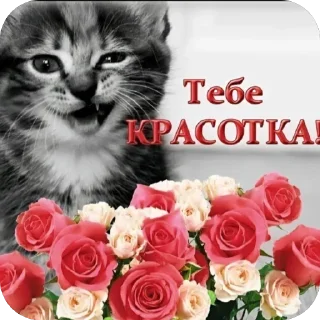 🫥 emoji открытки @qvizas Telegram sticker 21 of 54