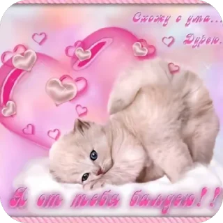 🫥 emoji открытки @qvizas Telegram sticker 15 of 54
