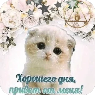 🫥 emoji открытки @qvizas Telegram sticker 8 of 54