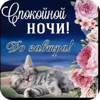 🫥 emoji открытки @qvizas Telegram sticker 22 of 54